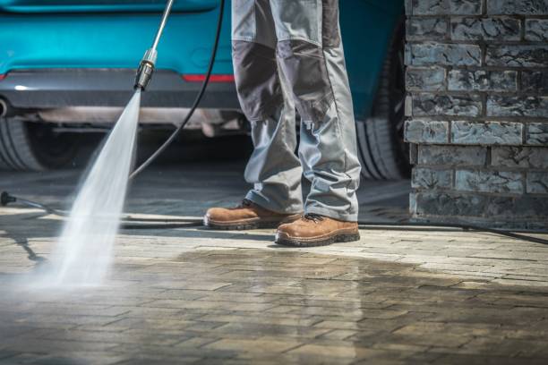 Best Roof Cleaning and Mildew Removal in Granville, WV