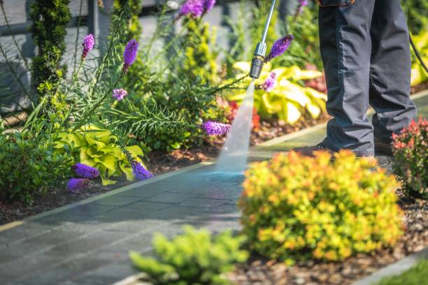 Best Building Exterior Pressure Washing in Granville, WV
